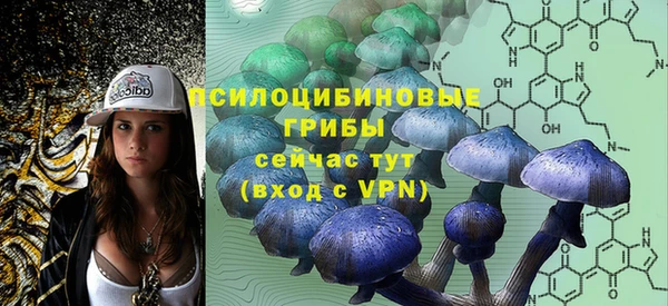 молекула духа Магадан