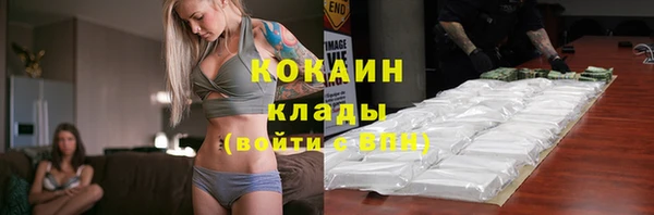 эйфоретик Инсар