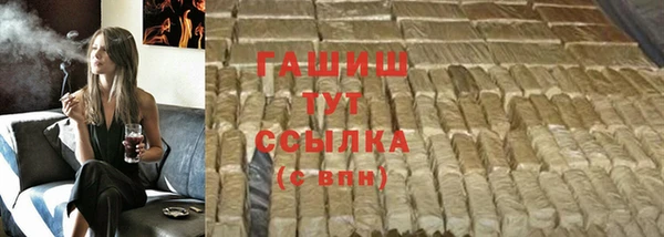 шишки Магас